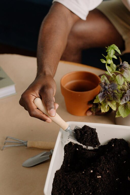 Jak założyć mały ogródek ziołowy w domu – poradnik krok po kroku